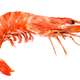 Image for article titled The Best Way to Steal Prawns From Costco Is Not to Shove Them Up Your Skirt